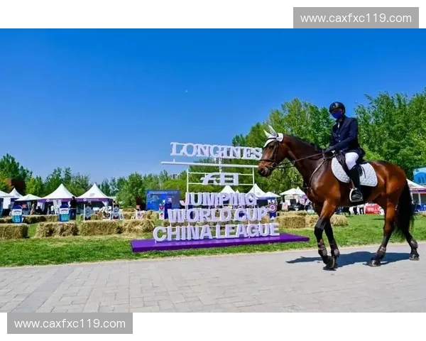 迪拜世界杯赛马盛宴全球顶级骑手逐梦荣耀之巅巅峰竞速传奇时刻